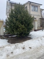 Подробнее